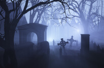 Kto… wróć! Co biega po Powązkach?